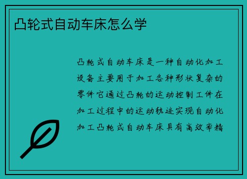 凸轮式自动车床怎么学